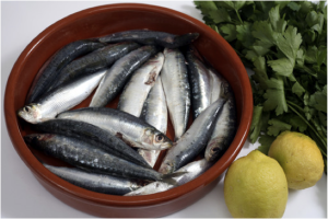 sardine-sardinha-alimento-importante-foco-em-vida-saudavel-herbalife