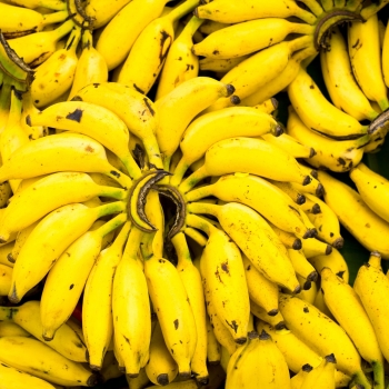 Banana-engorda-01
